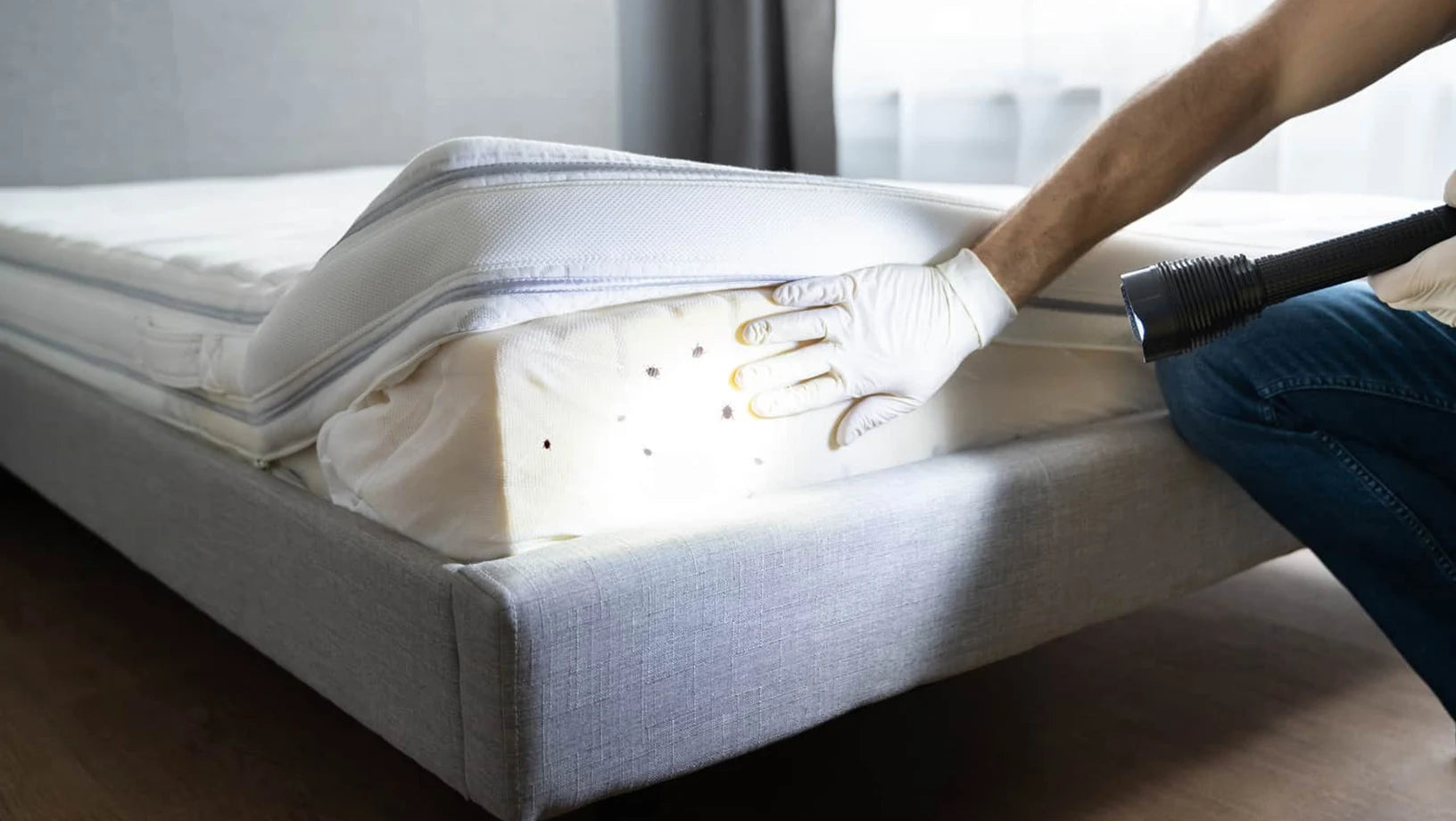 Ultimate Bed Bug Protection Discover the Best Mattress Cover to Safeg