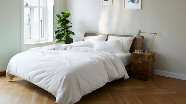 Thread Talk: Navigating Bedding Store Choices for Your Cozy Home Retreat