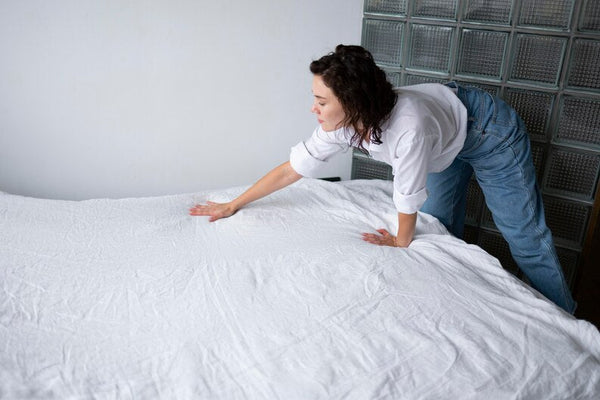 best bed bug proof mattress encasements