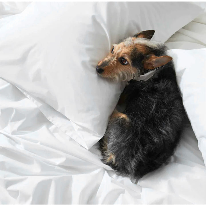 White Duvet Covers DZEE Home