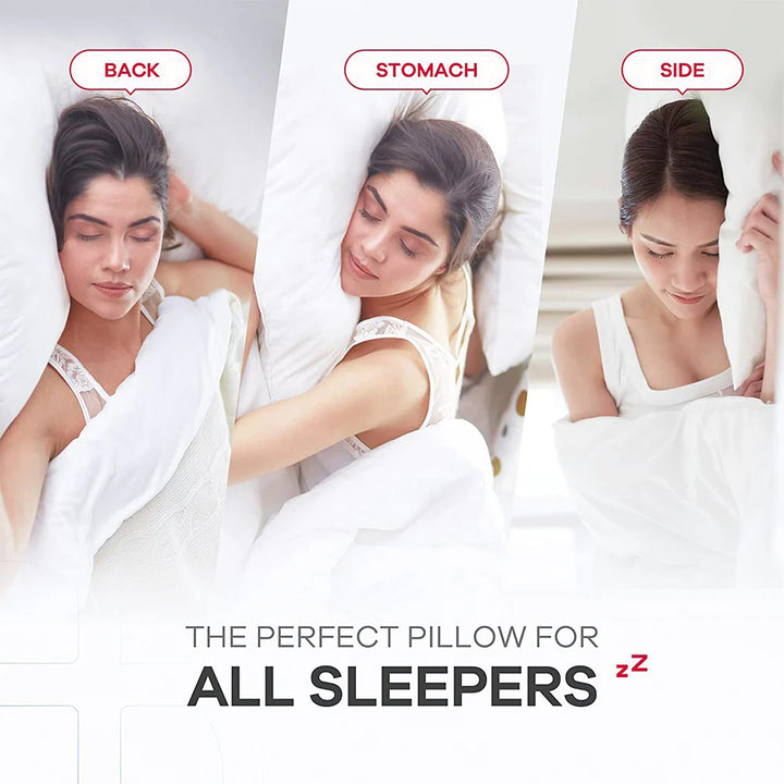 Belem Down Alternative Gel Fiber Pillow Queen Size DZEE Home