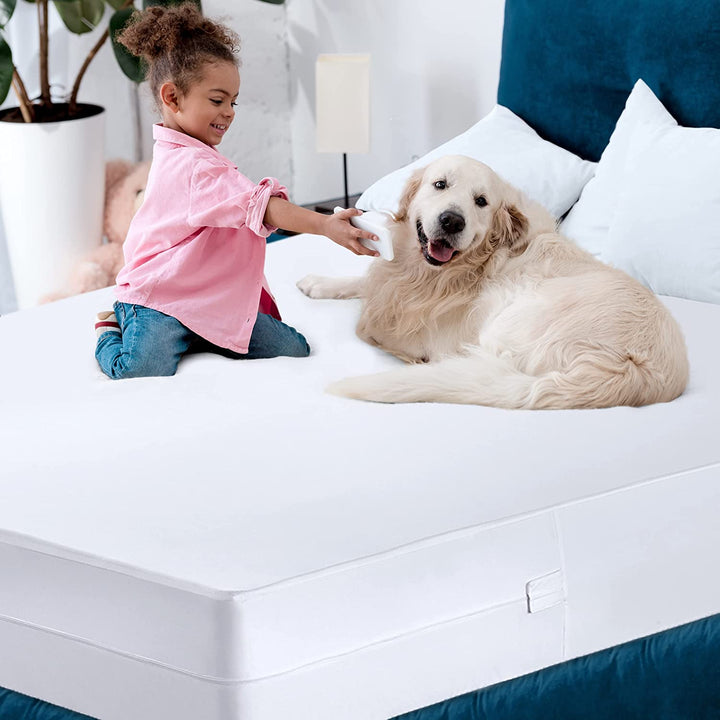 encasement mattress protector